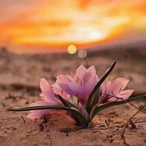 Meet your Posher, Josefa